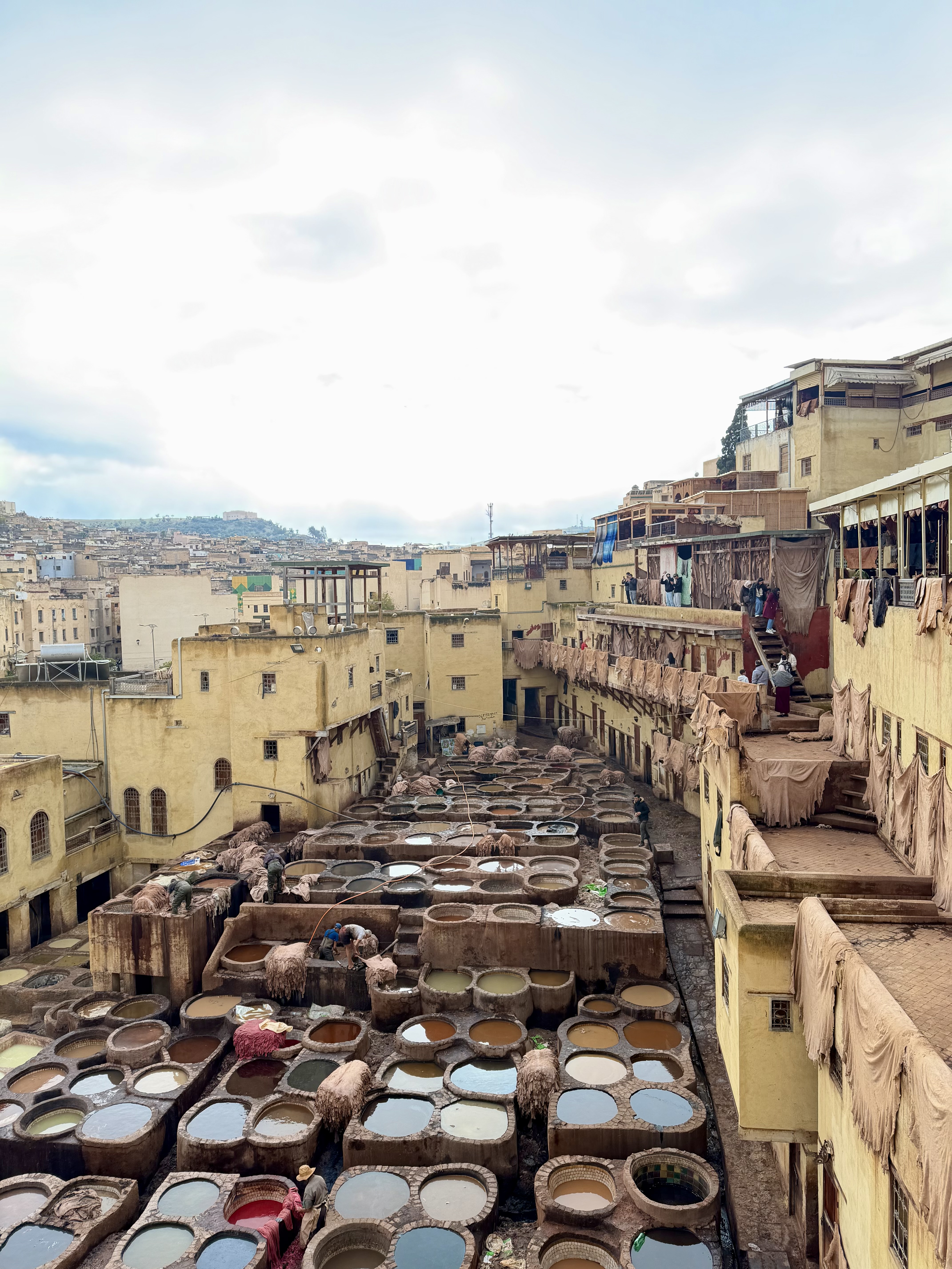 Marrakech medina walking tour